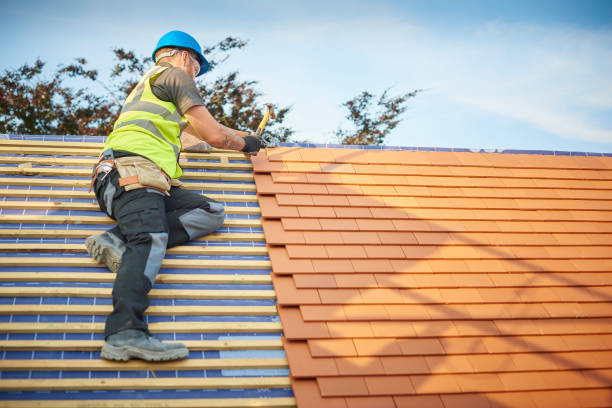 Best Roof Coating and Sealing  in Ault, CO